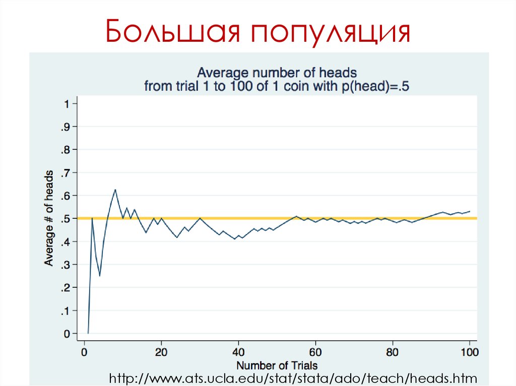 Большая популяция