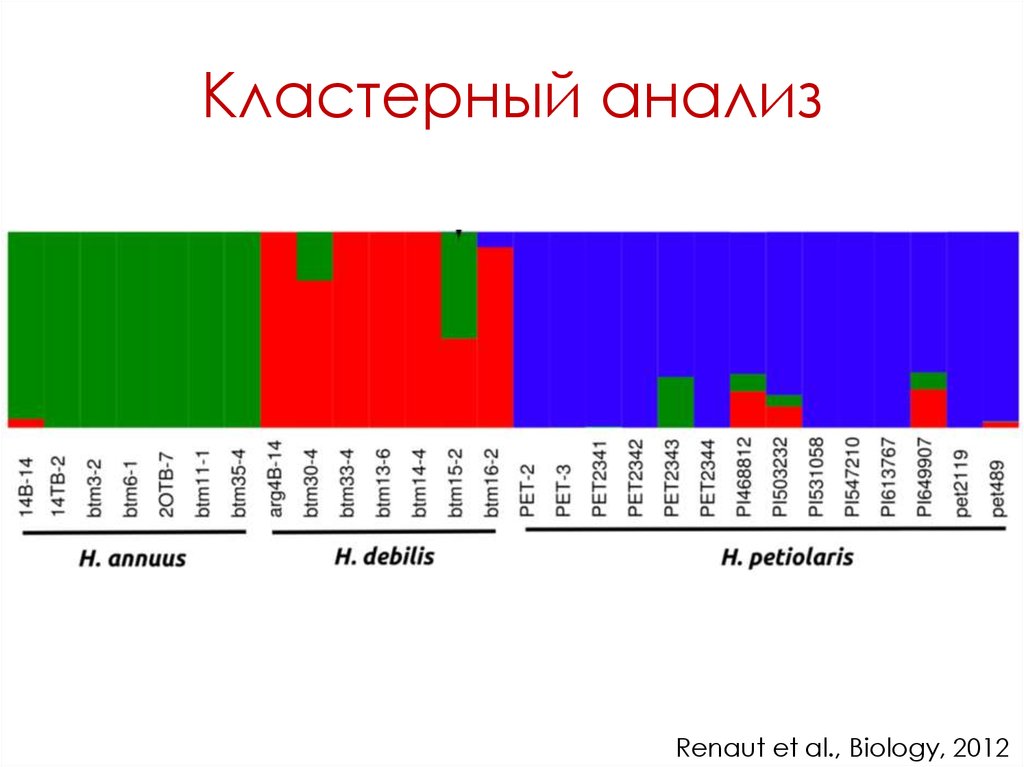 Кластерный анализ