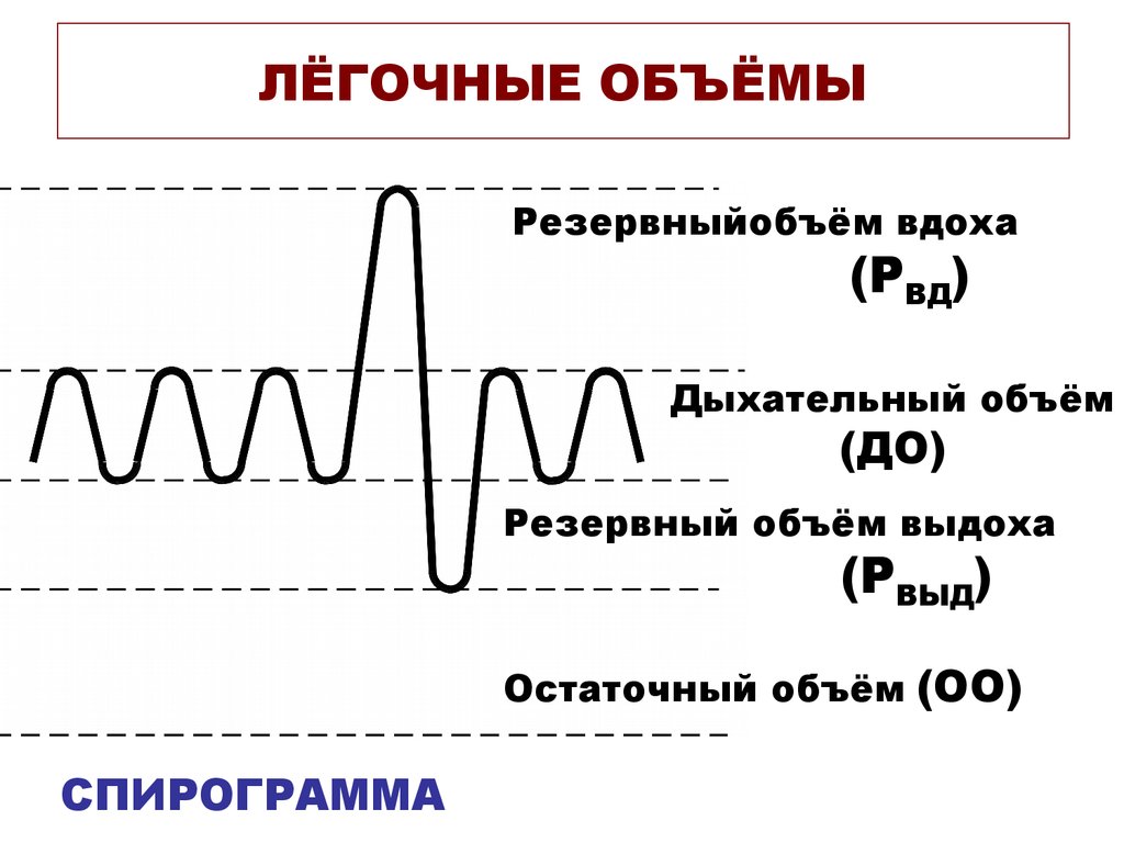 Схема легочных объемов