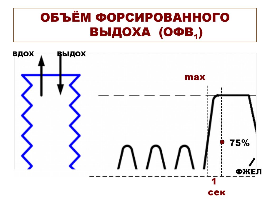 Объем вдоха выдоха. Объем форсированного выдоха. Механизм форсированного выдоха. Объем выдохе форсирования.