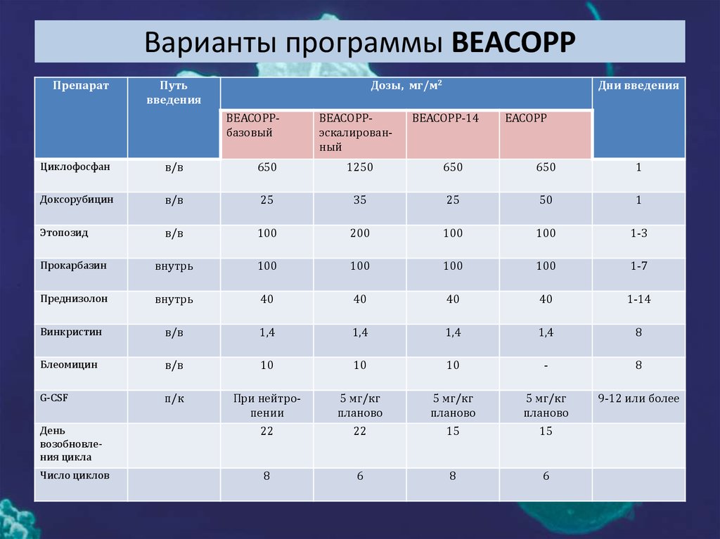 4 варианта программы. BEACOPP схема. ПХТ по схеме BEACOPP. BEACOPP схема химиотерапии. BEACOPP 14 схема.