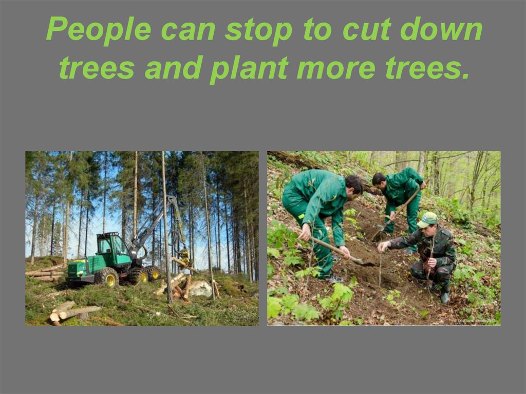 Trees are Cut down. Stop Cutting down Trees.. To Cut down. Предложения с Cut down. Cut them down