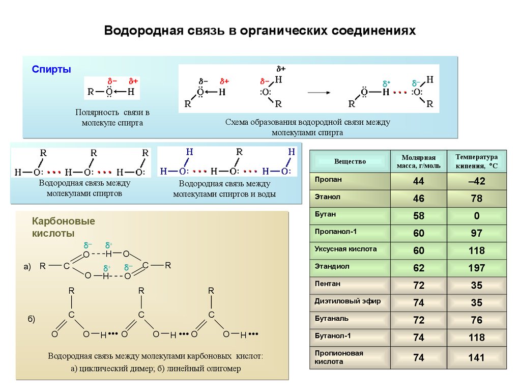 Какие связи в органической химии. Типы хим связей в органических соединениях. Типы химических связей в молекулах органических соединений. Водородная связь между молекулами воды схема. Полярность связей в органических соединениях.