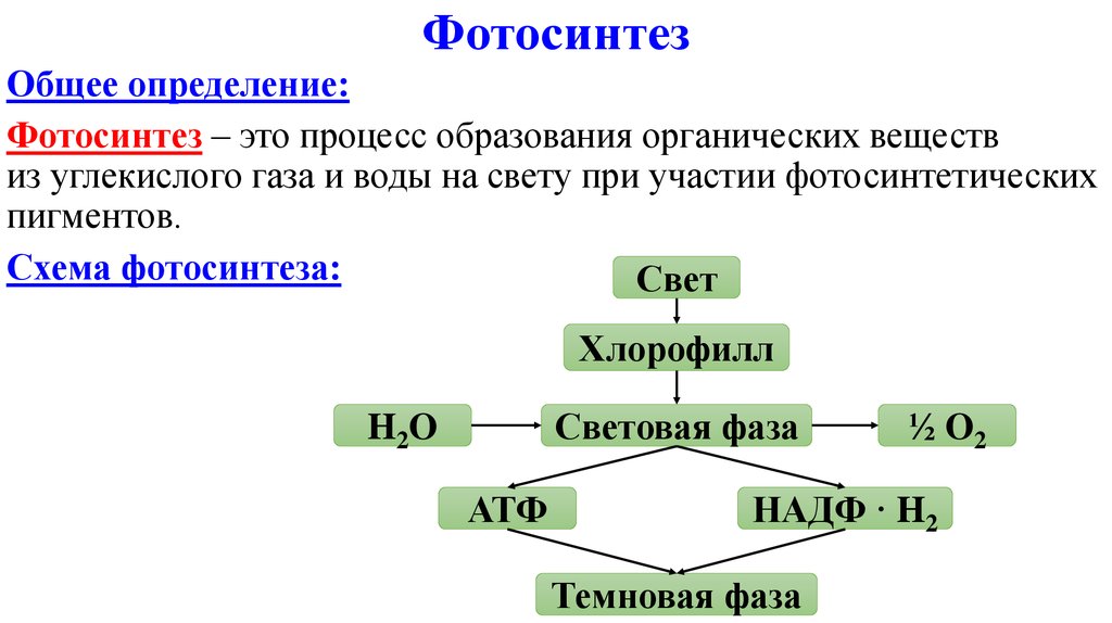 Общая схема фотосинтеза 10 класс