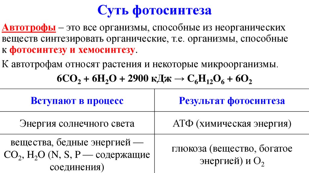 Типы клеточного питания фотосинтез и хемосинтез 10 класс презентация