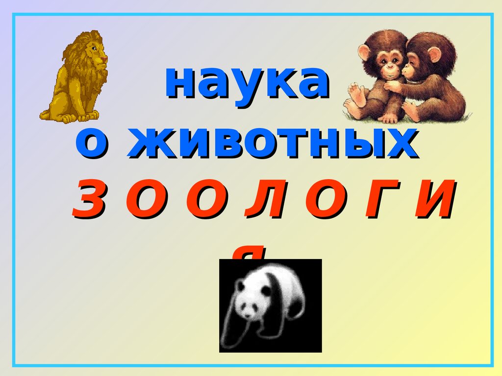 Наука о животных