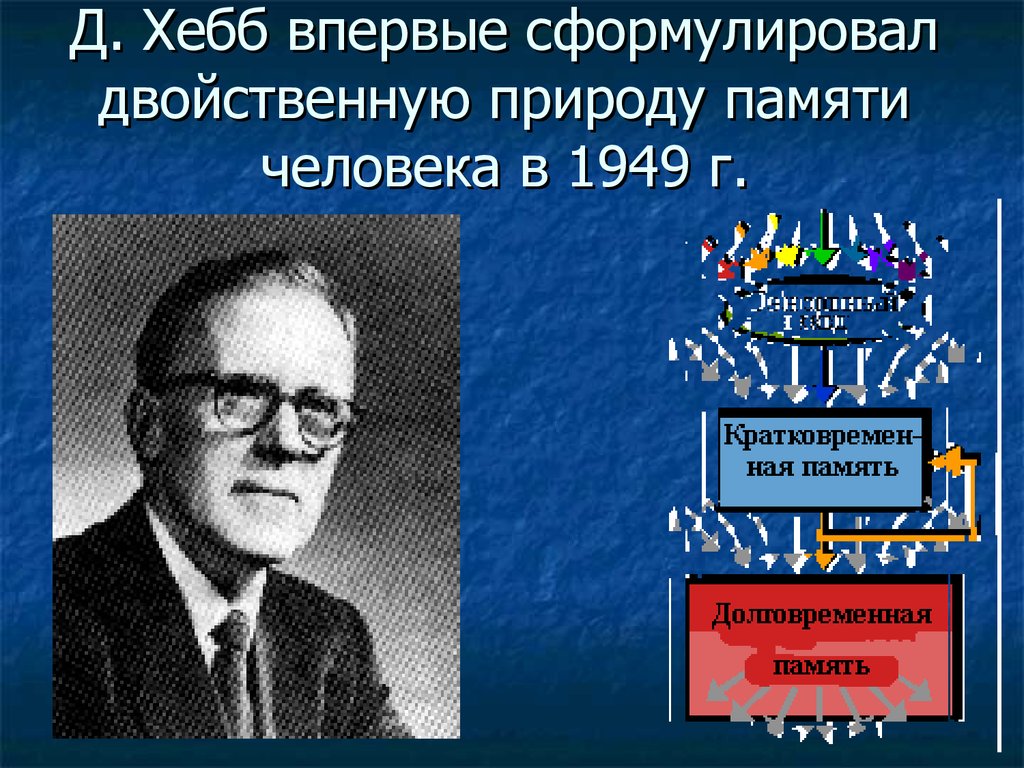 Память д. Дональд Хебб. Линдсей Хебб. Хебб психолог. Теория д Хебба.