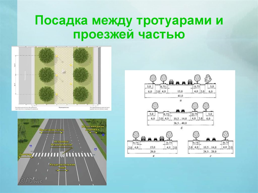 Между тротуарами. Посадка между тротуарами и проезжей частью. Озеленение проезжей части. Схема озеленения тротуаров. Пешеходная дорожка схема.