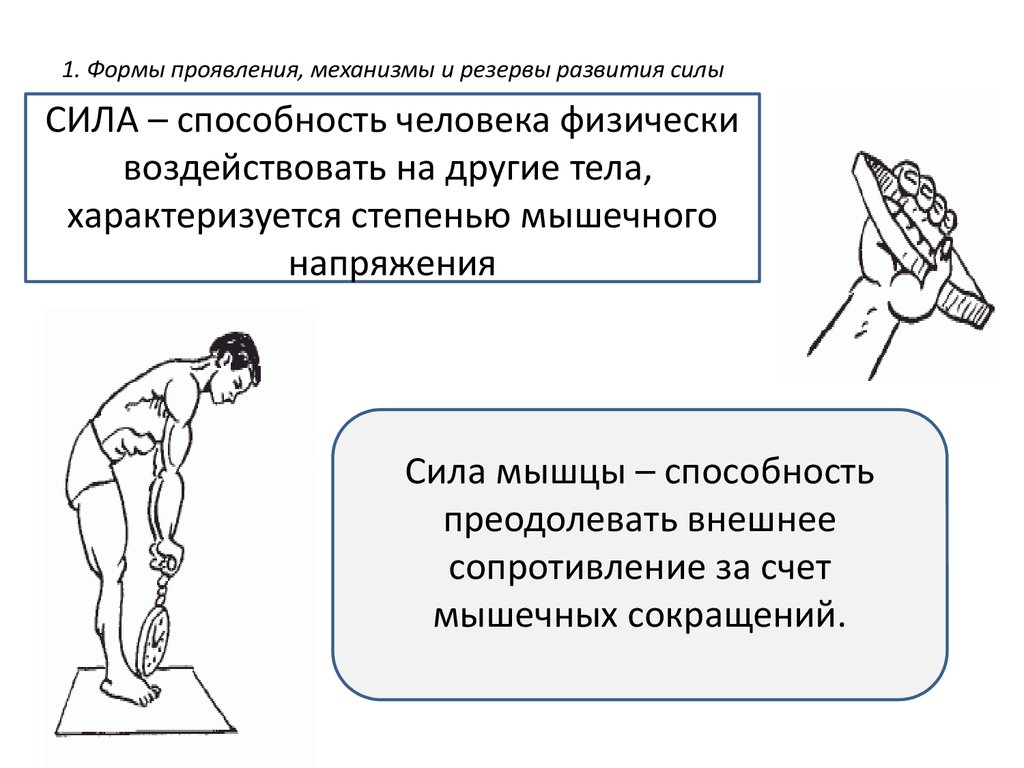 Способность человека использовать. Физиологические механизмы развития мышечной силы. Формы проявления механизмы и резервы развития силы. Физиологические механизмы проявления силы.. Физиологические механизмы развития физических качеств.