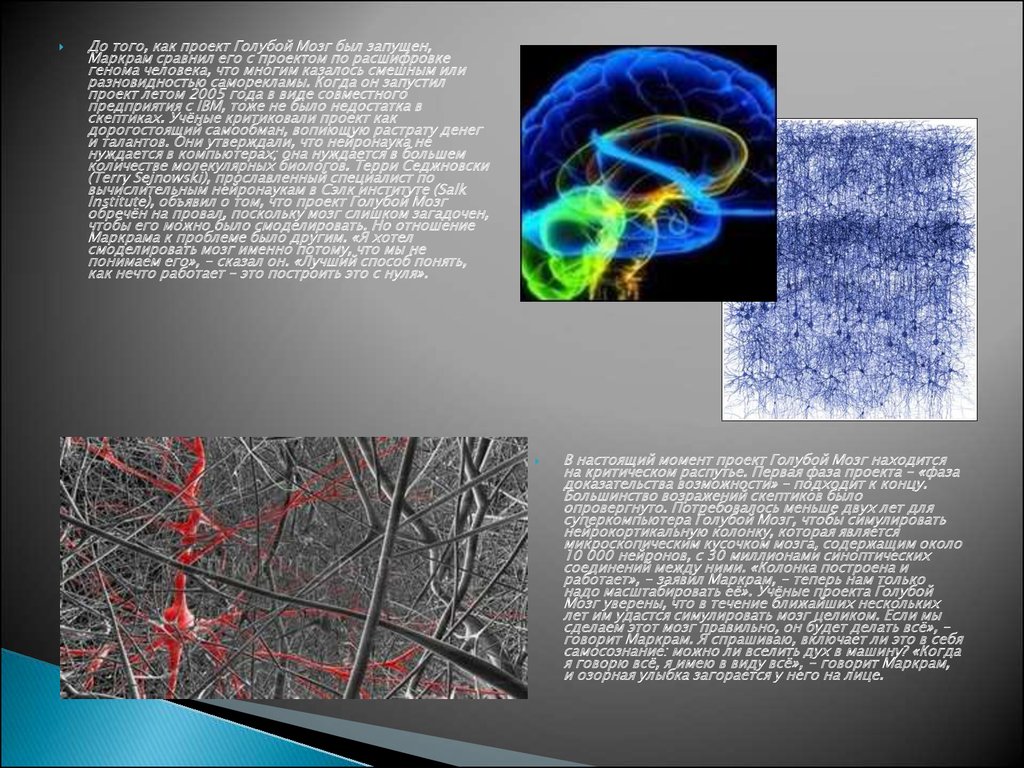 Синий проект. Проект голубой мозг. Проект голубой мозг кратко. Голубой мозг проект Маркрам. Самый крупный современный проект по расшифровке генома человека.