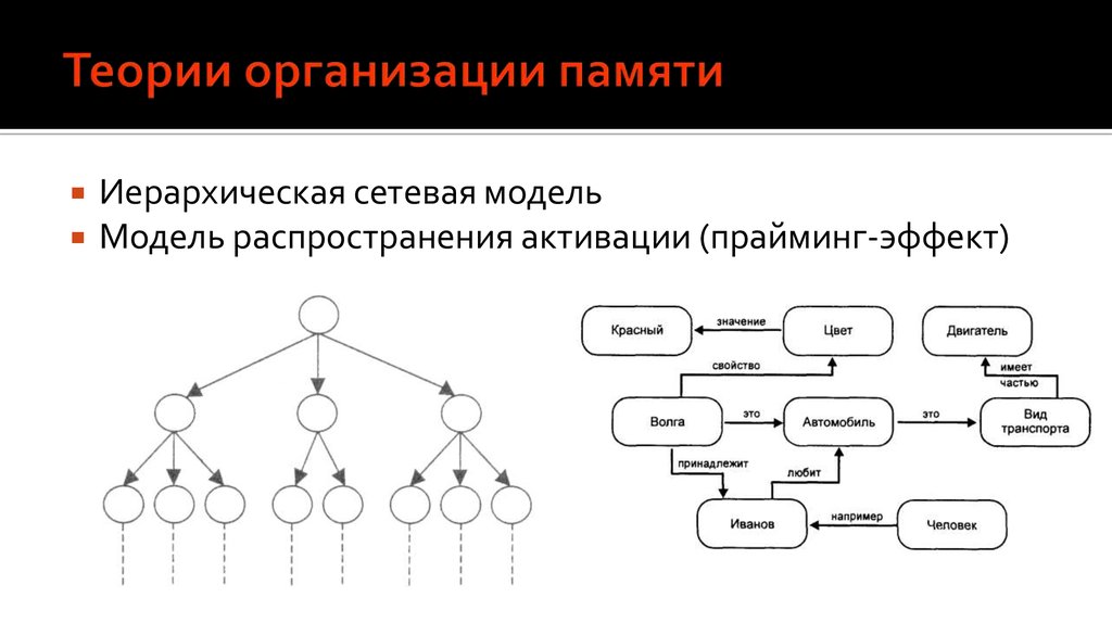 Иерархически организованной системы. Иерархическая сетевая модель. Теории памяти схема. Иерархическая система памяти. Иерархическая линейная модель.