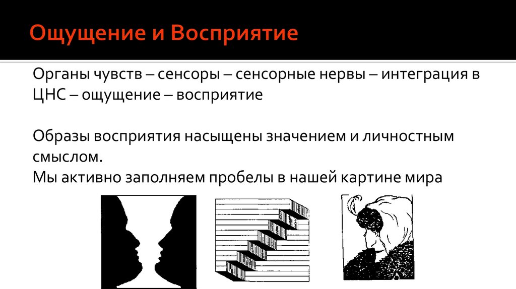 Ощущение и восприятие в психологии картинки