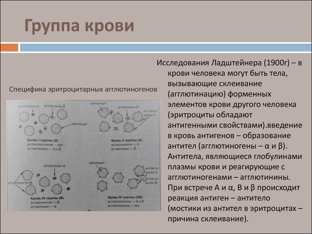 Может ли группа