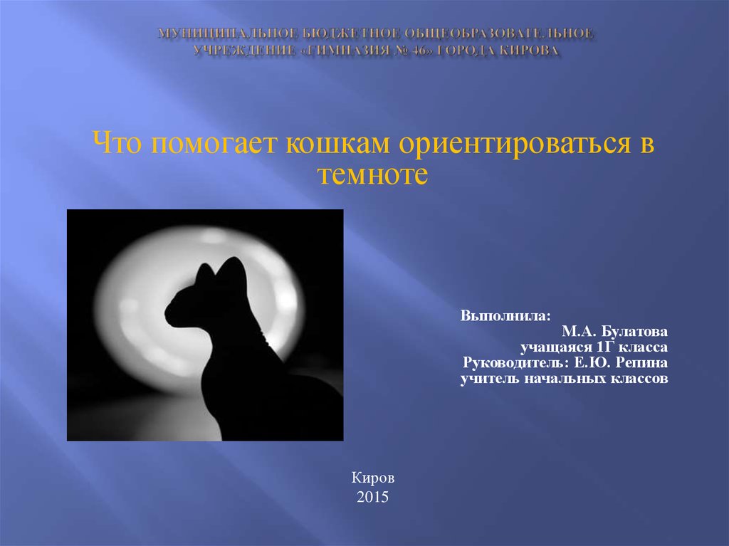 Темноту ответ. Кошка ориентируется в темноте. Ориентирование кошек в темноте. Человек ориентируется в темноте. Позволяет ориентироваться в темноте.