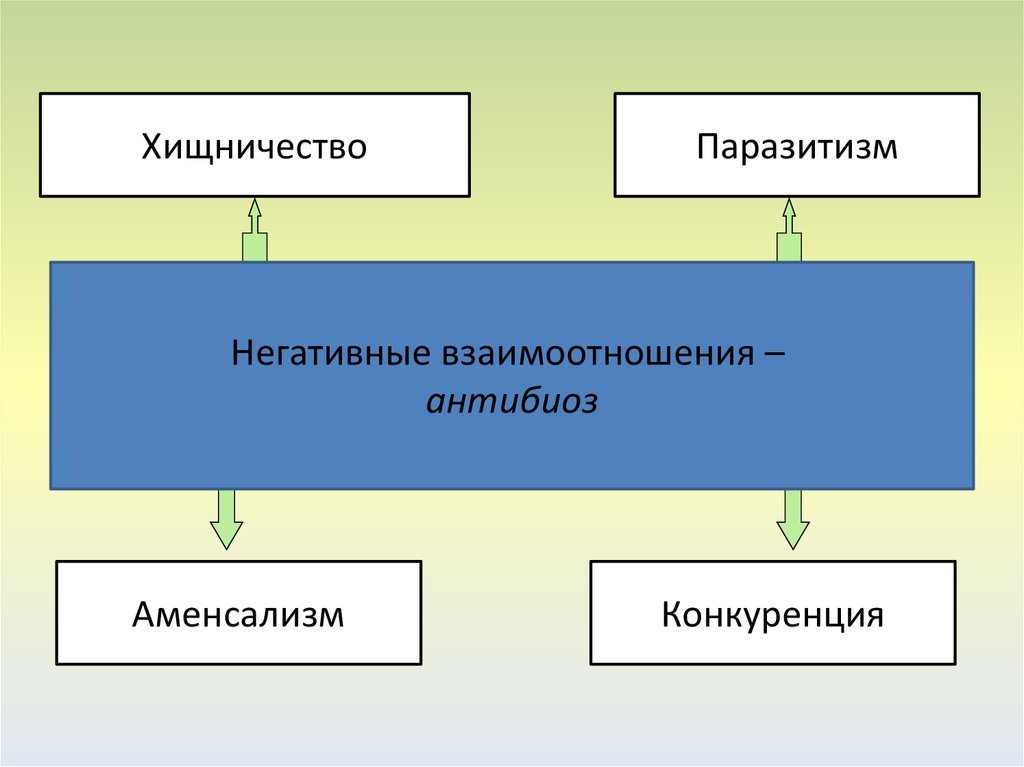 Негативные взаимоотношения организмов презентация