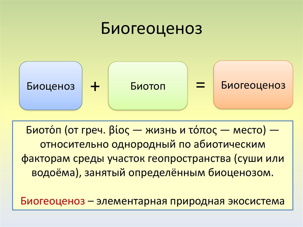 1 биоценозом называют. Биоценоз биотоп и экологическая система. Биоценоз и биогеоценоз. Термины по экосистеме. Понятие биогеоценоз.