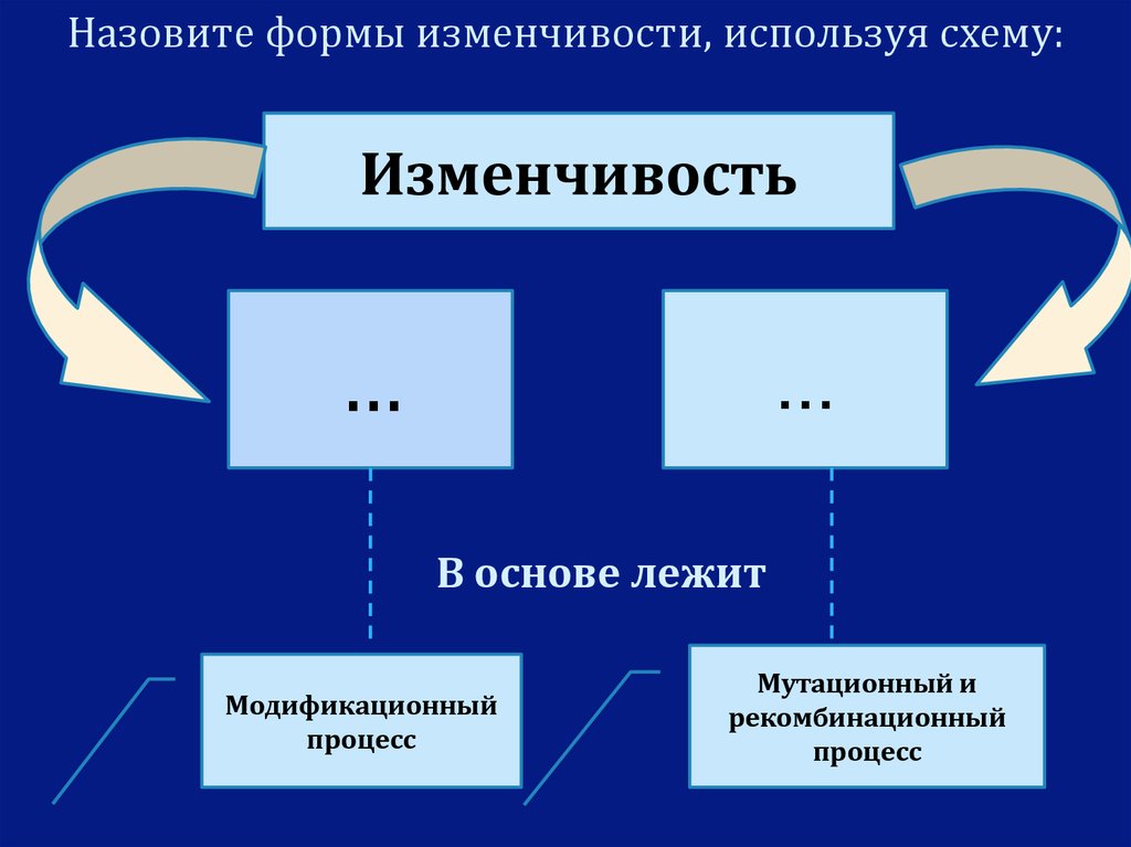 Процесс изменчивости