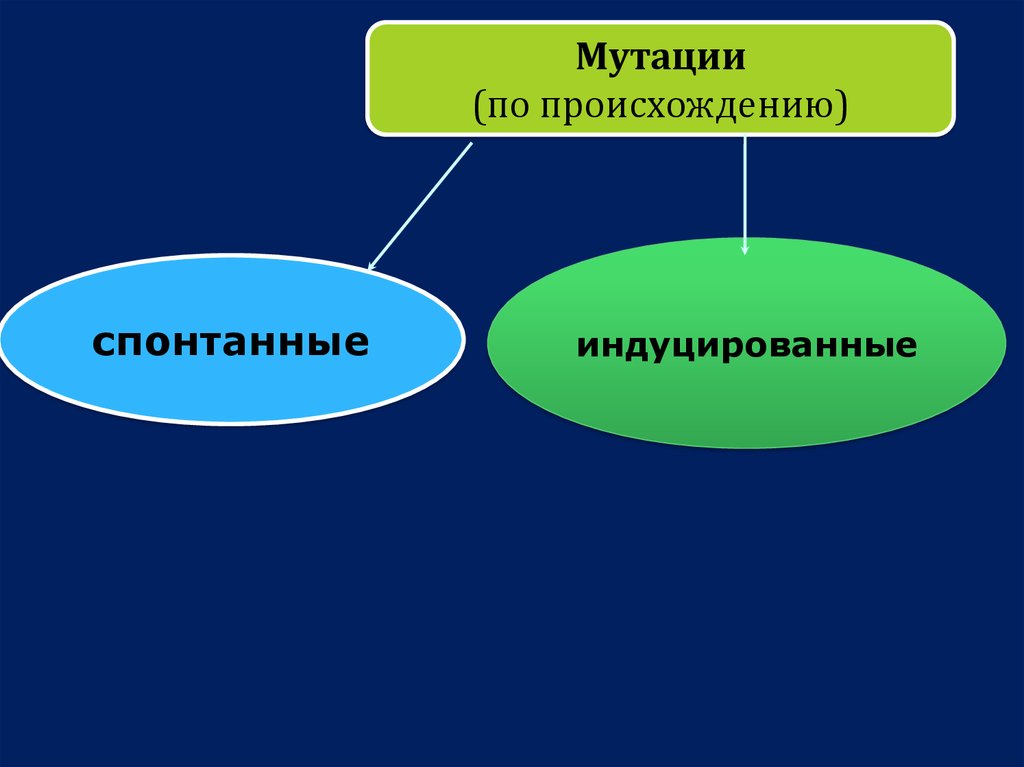 Спонтанная мутация. Индуцированные мутации примеры у животных. Индуцированные мутации примеры в жизни. Индуцированные мутации примеры ЕГЭ. Индуцированные мутации это 55552252252.