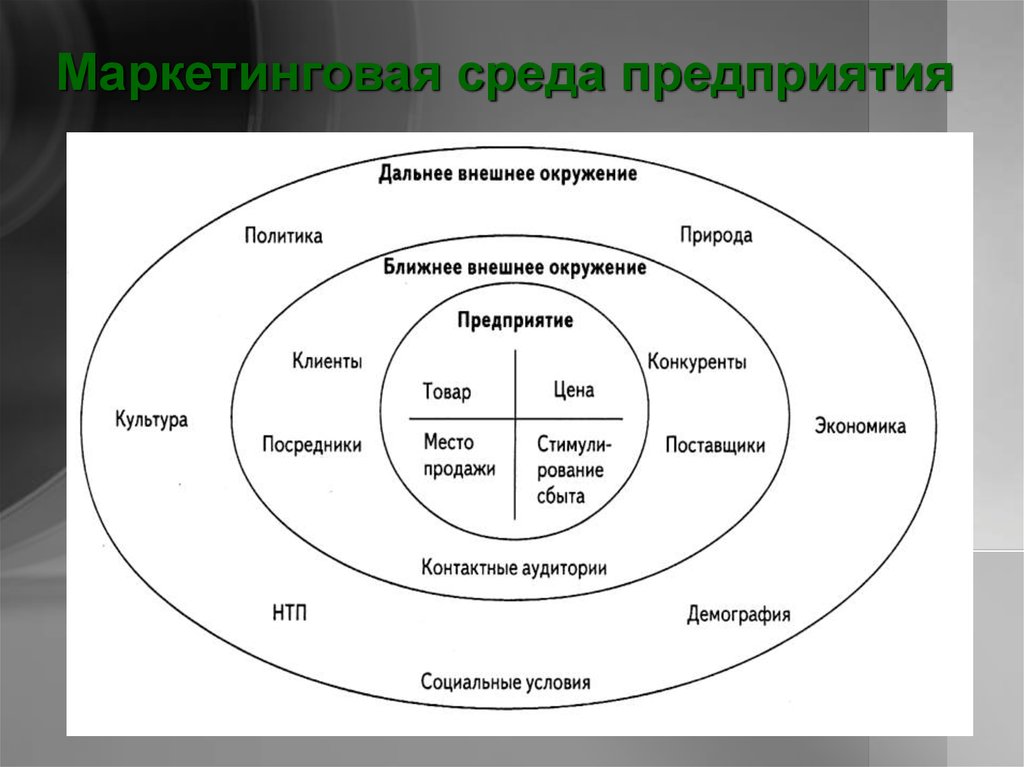 Микросреда проекта это