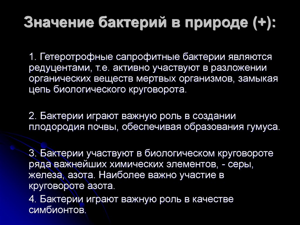 Значение бактерий в природе и жизни человека 5 класс биология презентация