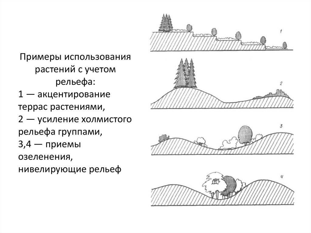 Найдите примерную высоту входа