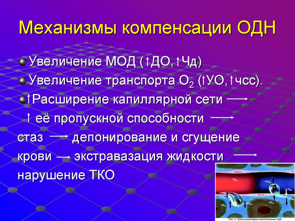 Механизмы компенсации. Механизмы компенсации при дыхательной недостаточности. Механизмы компенсации при острой дыхательной недостаточности. Механизм компенсации недостаточности внешнего дыхания. Компенсация острой дыхательной недостаточности.