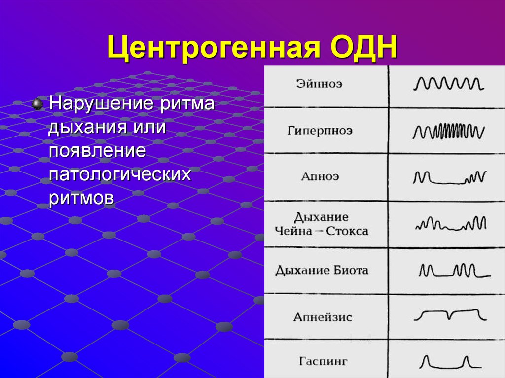 Патологическое дыхание рисунок