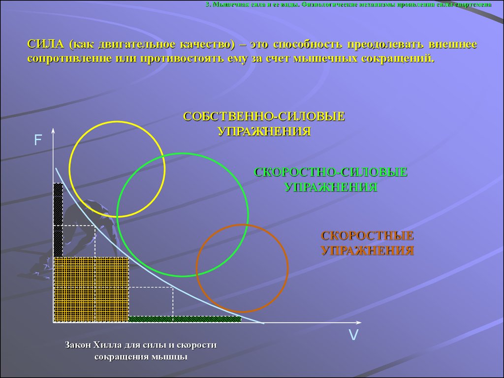 Сила планирования. Физиологические механизмы проявления силы.. Закон Хилла сила-скорость. Закон Хилла. Закон Хилла сердце.