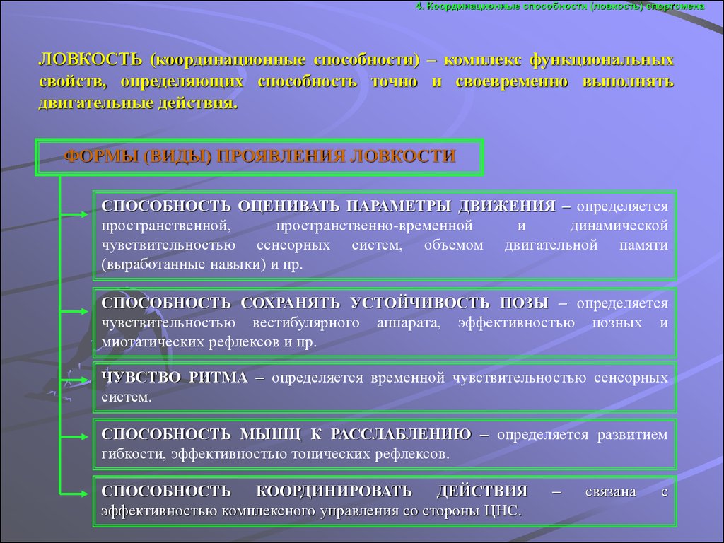 Двигательная способность ловкость. Формы проявления ловкости. Совершенствование координационных способностей. Координационные способности. Разновидности координационных способностей.