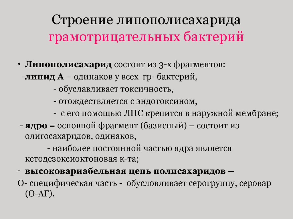 Липополисахарид. Строение липополисахарида грамотрицательных бактерий. Структура липополисахарида грамотрицательных бактерий. Функции липополисахарида грамотрицательных бактерий. Липополисахарид клеточной стенки грамотрицательных бактерий.