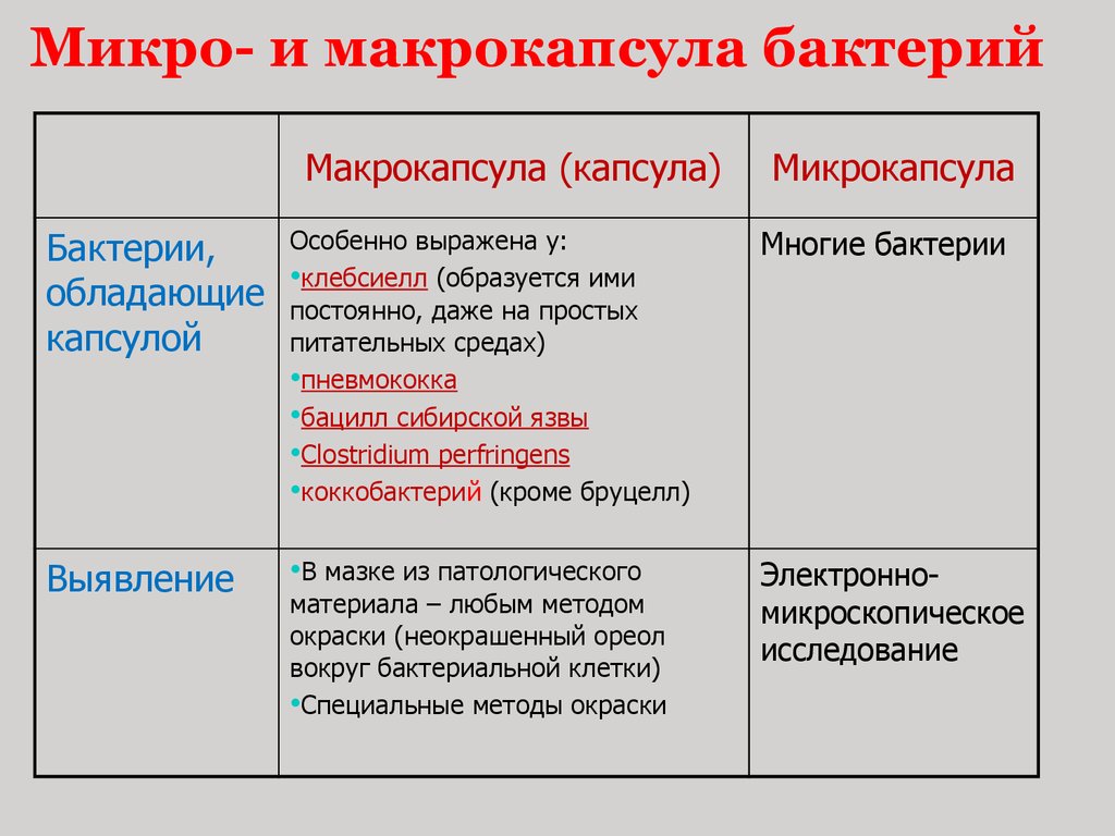 Имел капсулы