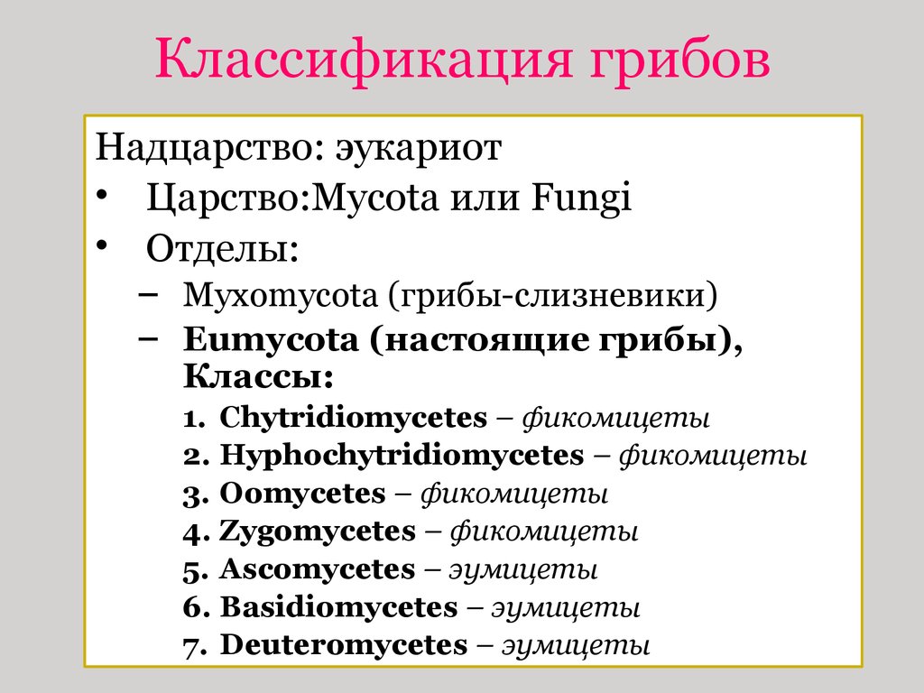Признаки таксономических групп. Царство грибов классификация. Классификация царство грибов таблица. Классификация грибов царство отдел класс. Таксономическая классификация грибов.