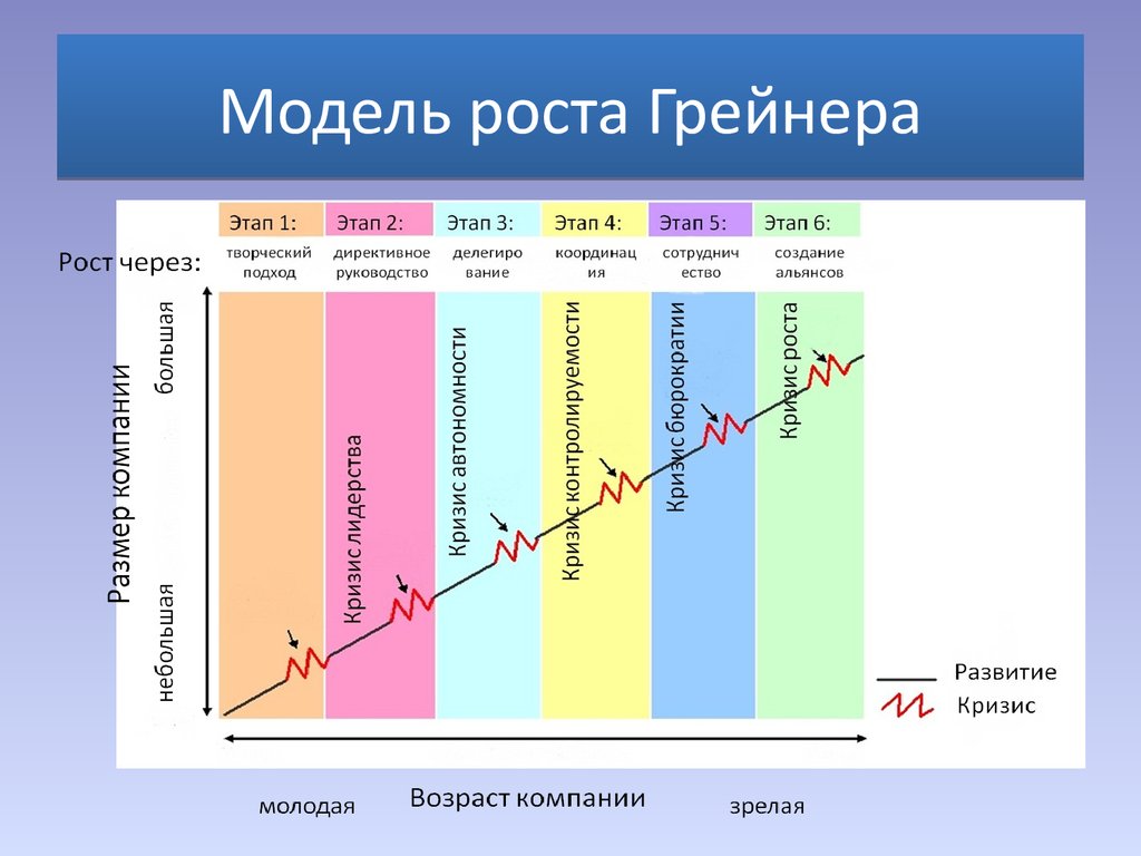 Этапы роста организации. Модель развития организации Ларри Грейнера. Модель жизненного цикла организации Ларри Грейнера. Модель роста Грейнера. Грейнер модель жизненного цикла.