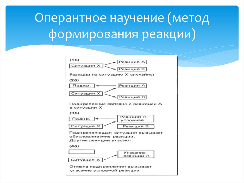 Формирование поведенческих реакций. Оперантное научение. Метод формирования реакций это. Методы оперантного научения. Метод формирования реакций оперантное научение.