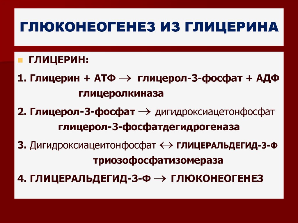 Общая схема глюконеогенеза из аминокислот глицерина и молочной кислоты