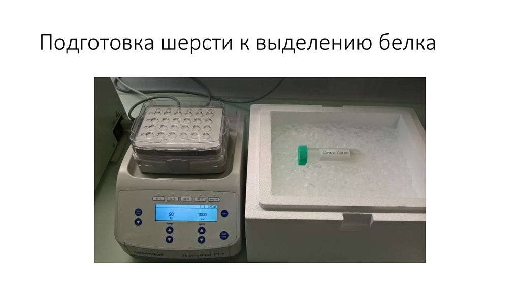 Подготовка шерсти к выделению белка