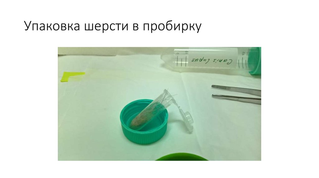 Упаковка шерсти в пробирку