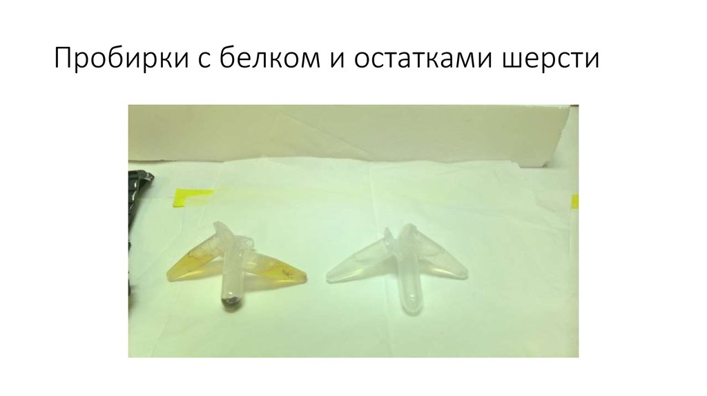 Пробирки с белком и остатками шерсти