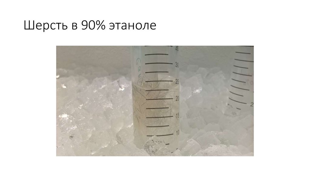 Шерсть в 90% этаноле