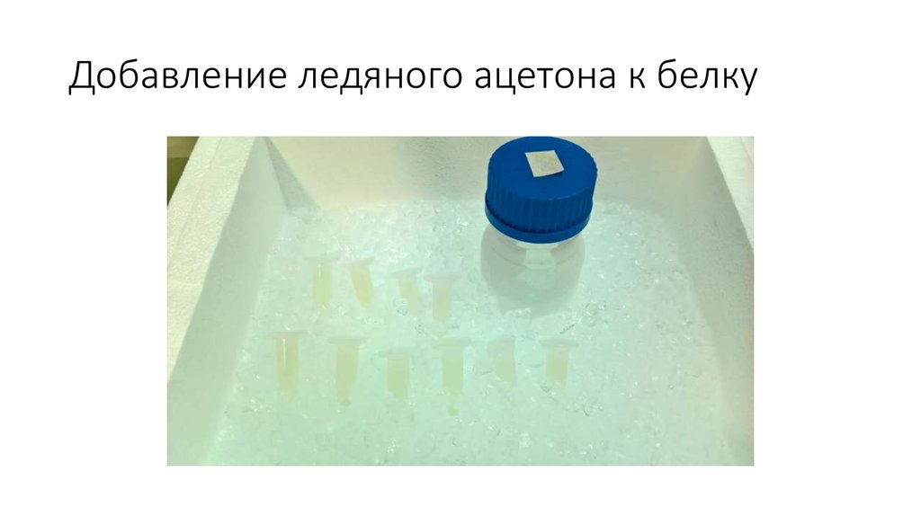 Добавление ледяного ацетона к белку