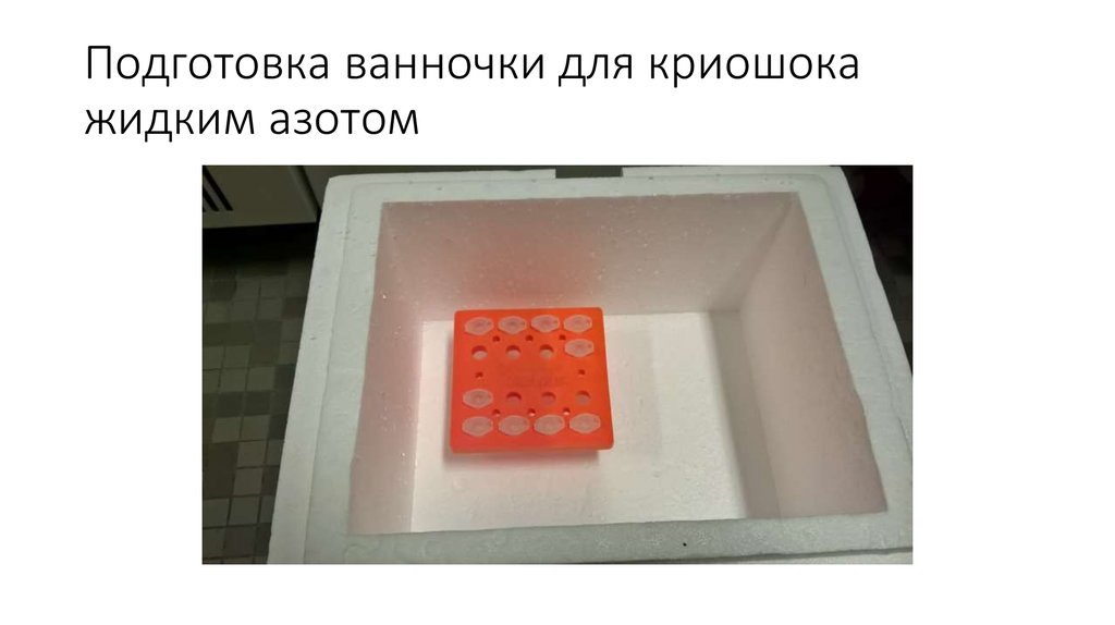 Подготовка ванночки для криошока жидким азотом