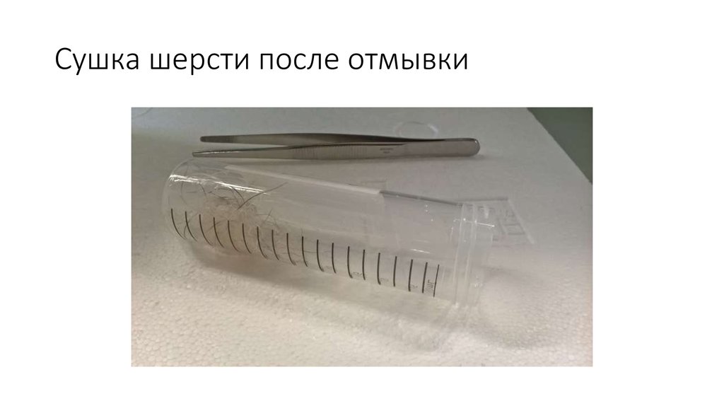 Сушка шерсти после отмывки