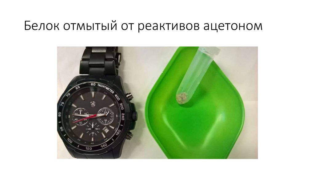 Белок отмытый от реактивов ацетоном