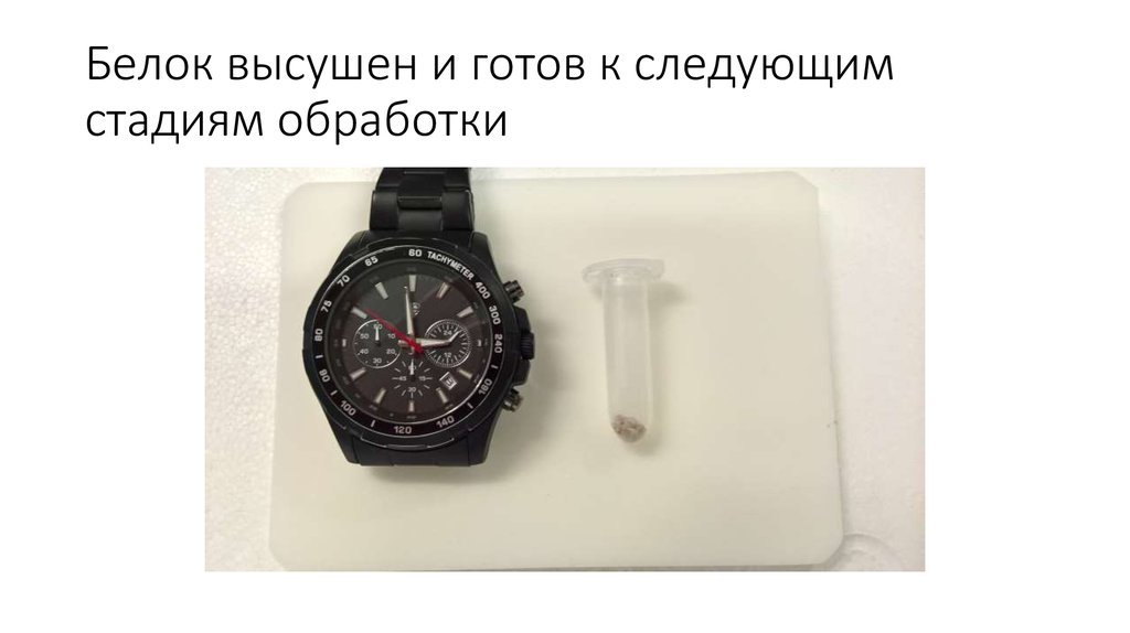 Белок высушен и готов к следующим стадиям обработки