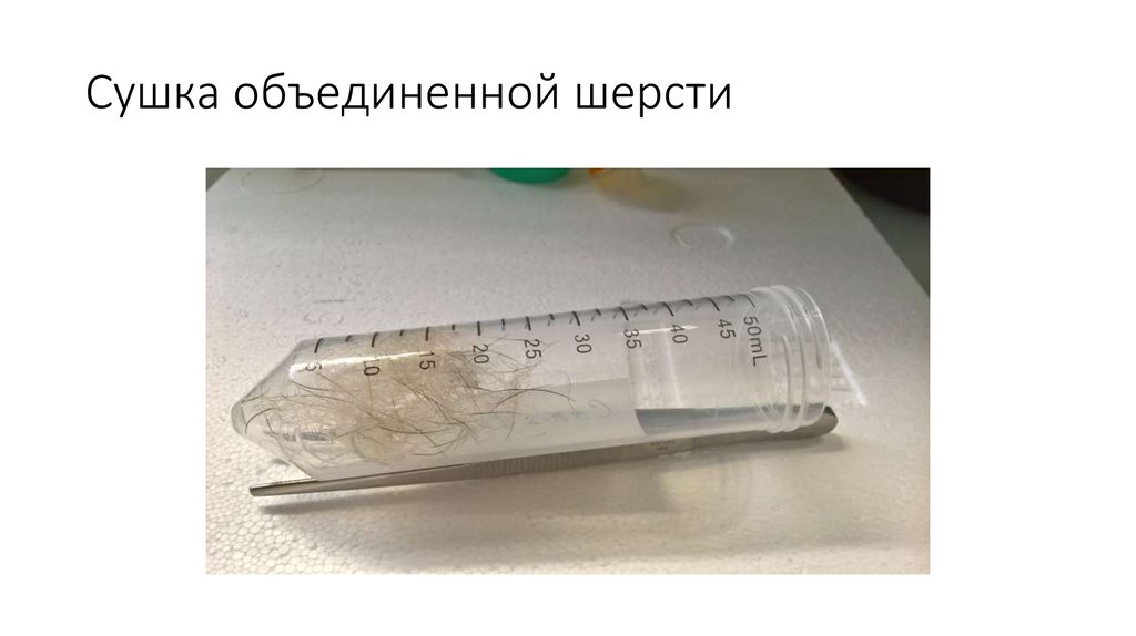 Сушка объединенной шерсти