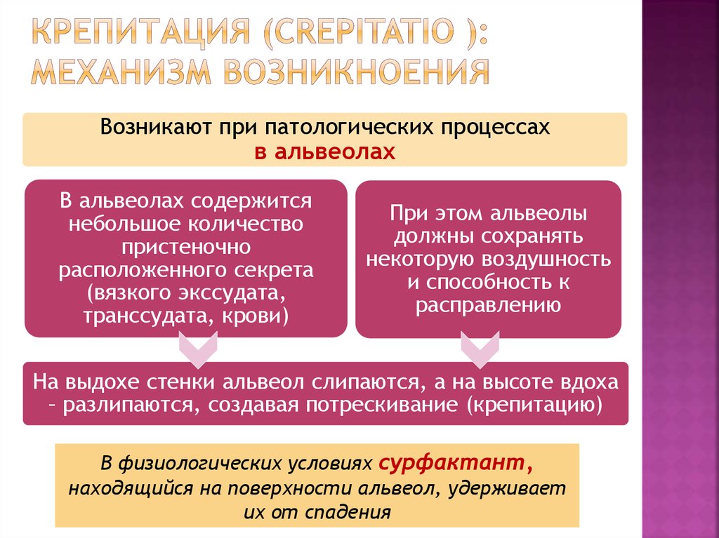 Крепитация это. Физиологическая крепитация. Механизм образования крепитации. Механизм возникновения крепитации при пневмонии. Крепитация в легких механизм возникновения.