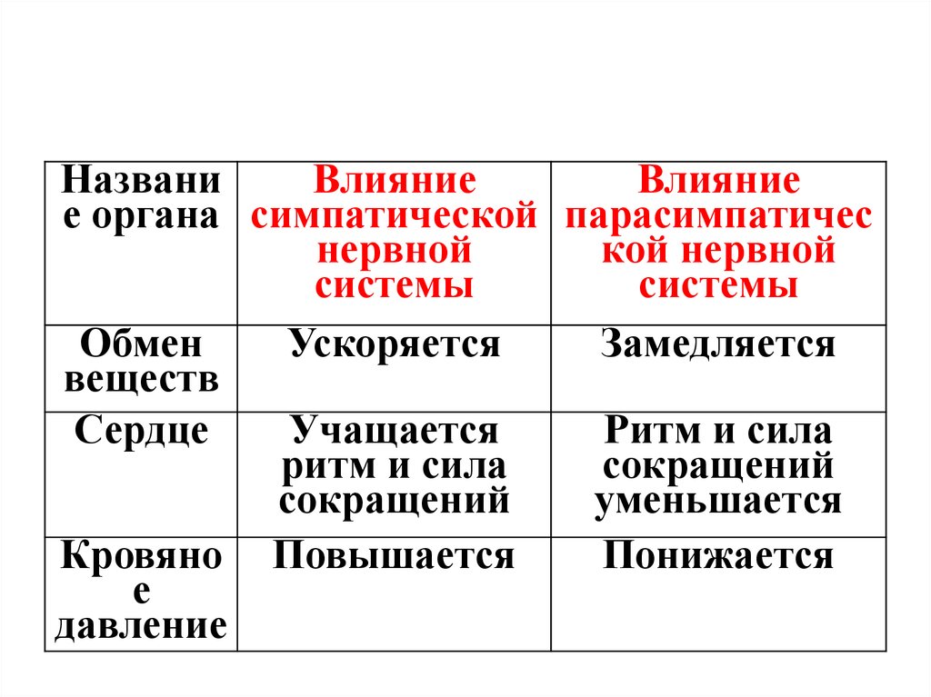 Снижают интенсивность обмена веществ симпатический