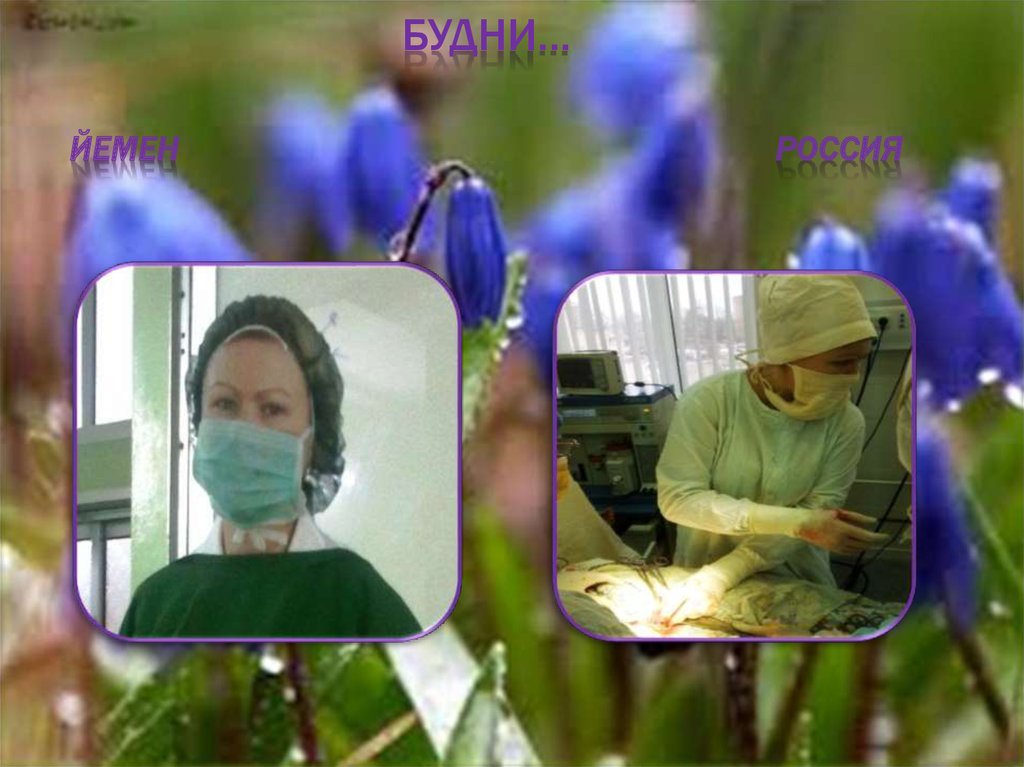 Будни… Йемен Россия