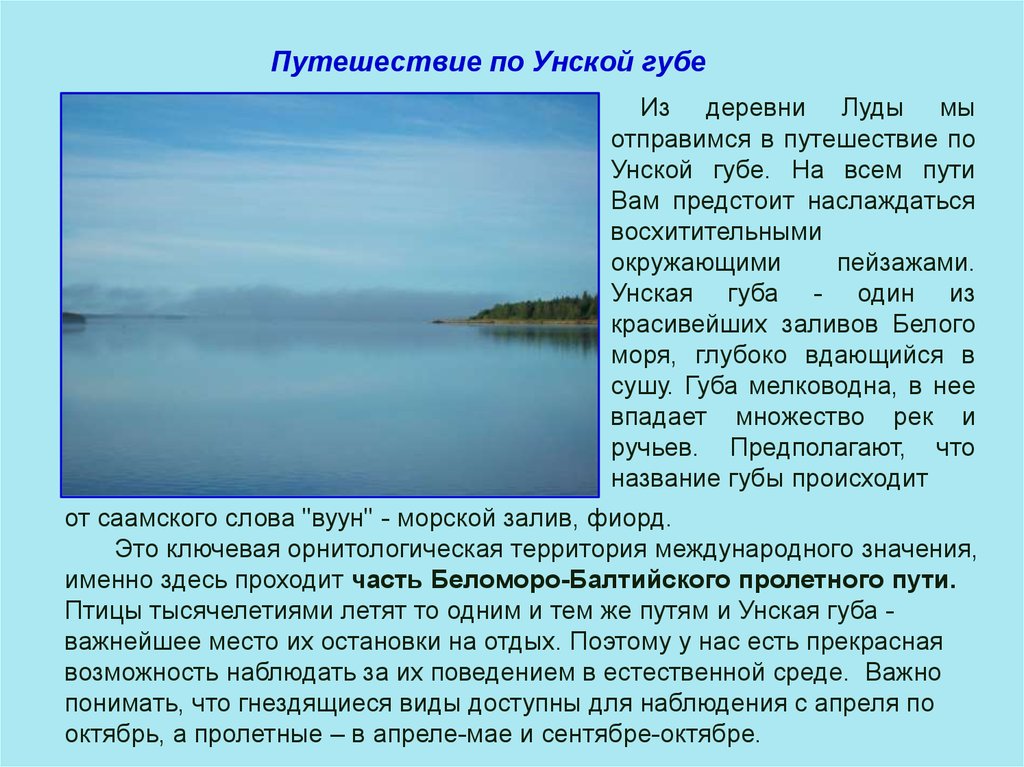 Полезные свойства белого моря. Унская губа. Унская губа белого моря. Унский залив Унская губа. Карта Унской губы белого моря луда.