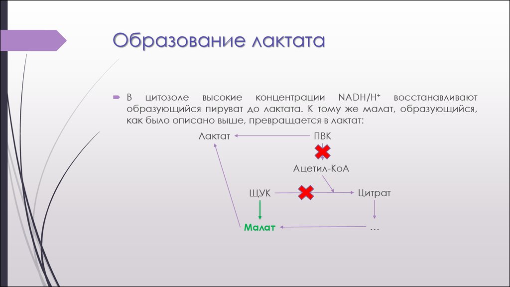 Что значит лактат. Образование лактата из пирувата. Схема образования лактата. Строение и образование лактата.. Реакция образования лактата.